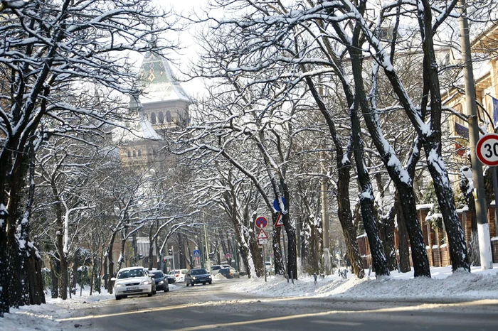 Timisoara inghetata sub zapada