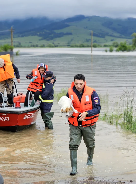 Pompierii intervin în localitatea Băcel, județul Covasna FOTO: ISU Covasna