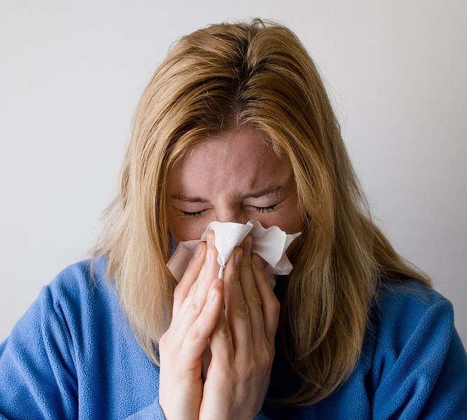 Compoziția surprinzătoare a granulelor homeopate recomandate pentru gripă: măruntaie de rață și virus ultradiluat