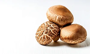 Ciuperci FOTO Shutterstock (7) jpeg