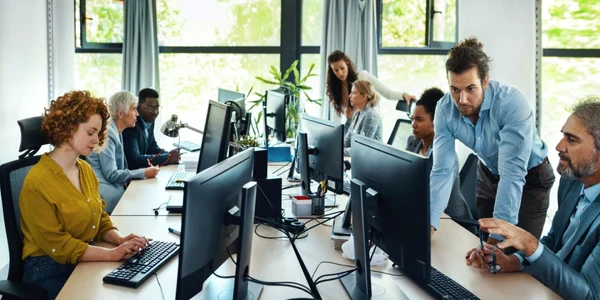 itisti specialisti it microsoft angajati birouri laptop