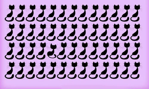 image png