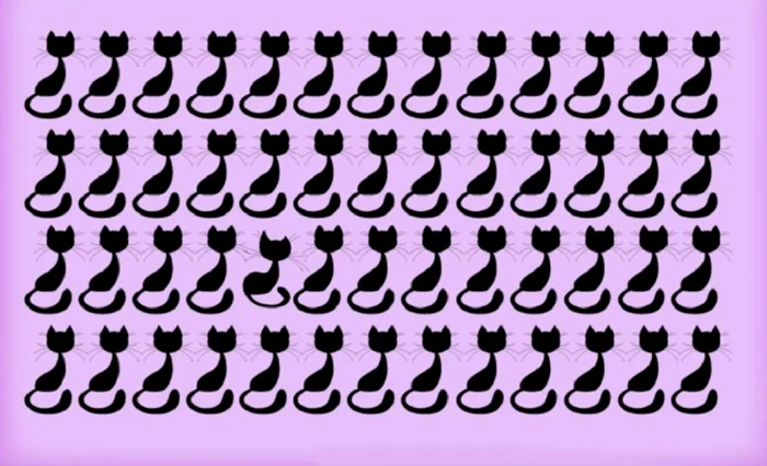 Test de observare. Foto: arhiva.