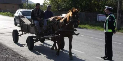 Martorii din sat au ajutat la identificarea autorului accidentului