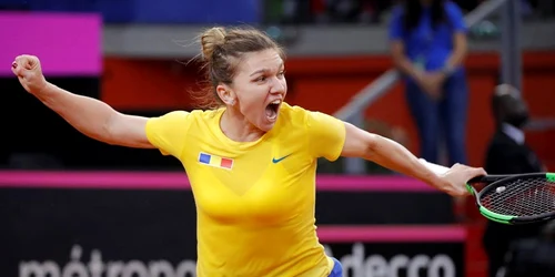 Halep Platforma X jpg