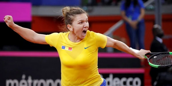 Halep Platforma X jpg