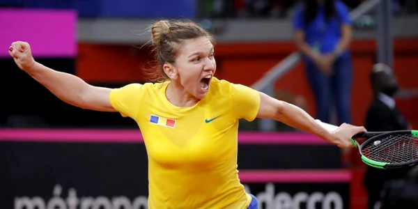 Halep Platforma X jpg