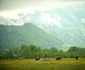 Ţara Loviştei - Vâlcea Foto Sorin Mateescu