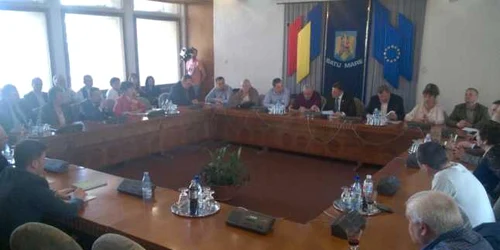 consiliul judetean Satu Mare