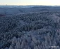Tinutul Padurenilor Poiana Rachitelii iarna (20) JPG