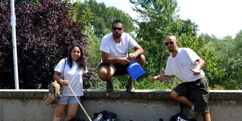 voluntari arad