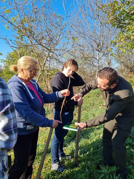 Detaliile unei acțiuni fără precedent în România: pădure plantată de la zero, de o armată de voluntari, la marginea unui oraș