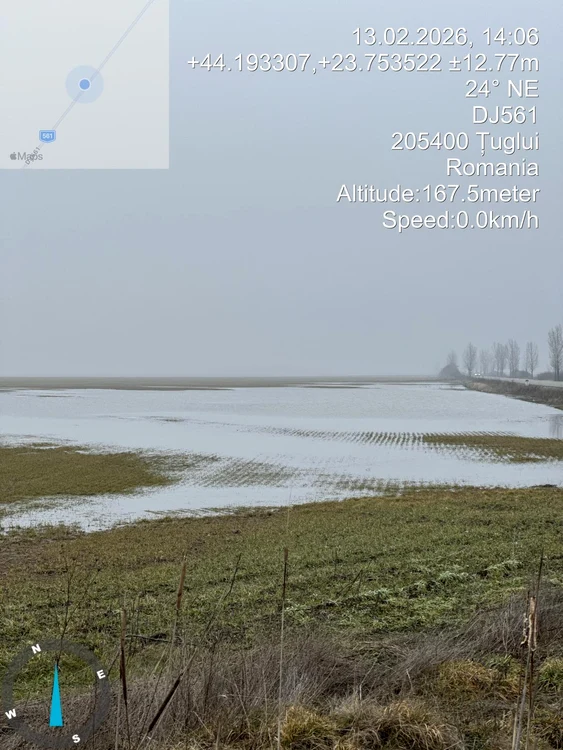 Apa în exces pune în pericol culturile Sursa FOTO: Daniela Dumitru