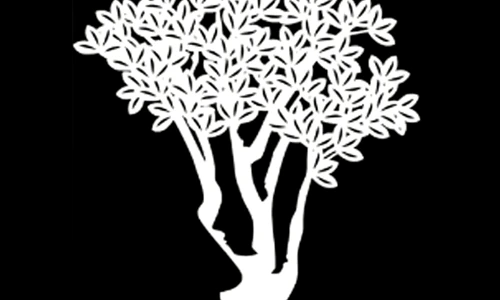 doua chipuri iluzie optica  jpg