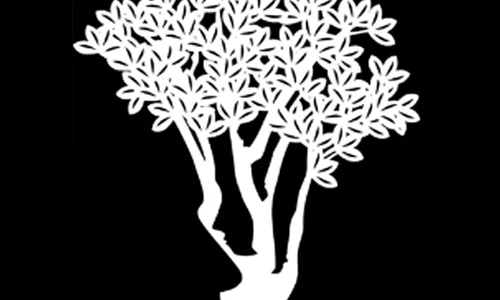 doua chipuri iluzie optica  jpg