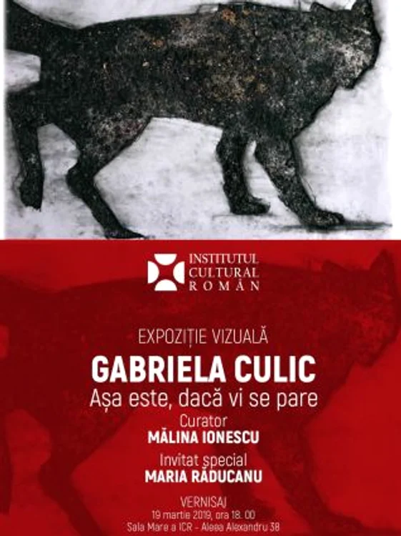 Afis Gabriela Culic