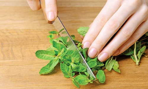 salata menta jpeg