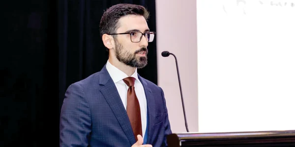 Octavian BĂDICĂ, Ambasador al României în UAE