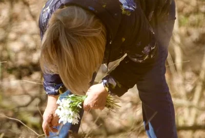 femeie culegand ghiocei FB Lucian Mîndruță jpg