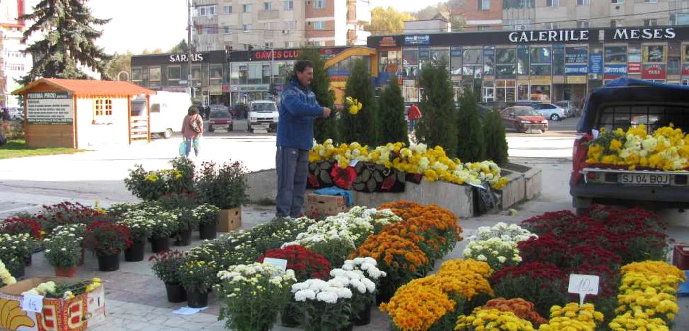 Cel mai ieftin buchet de crizanteme costă 3 lei
