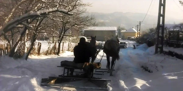 motaieni deszapezire cu plugul