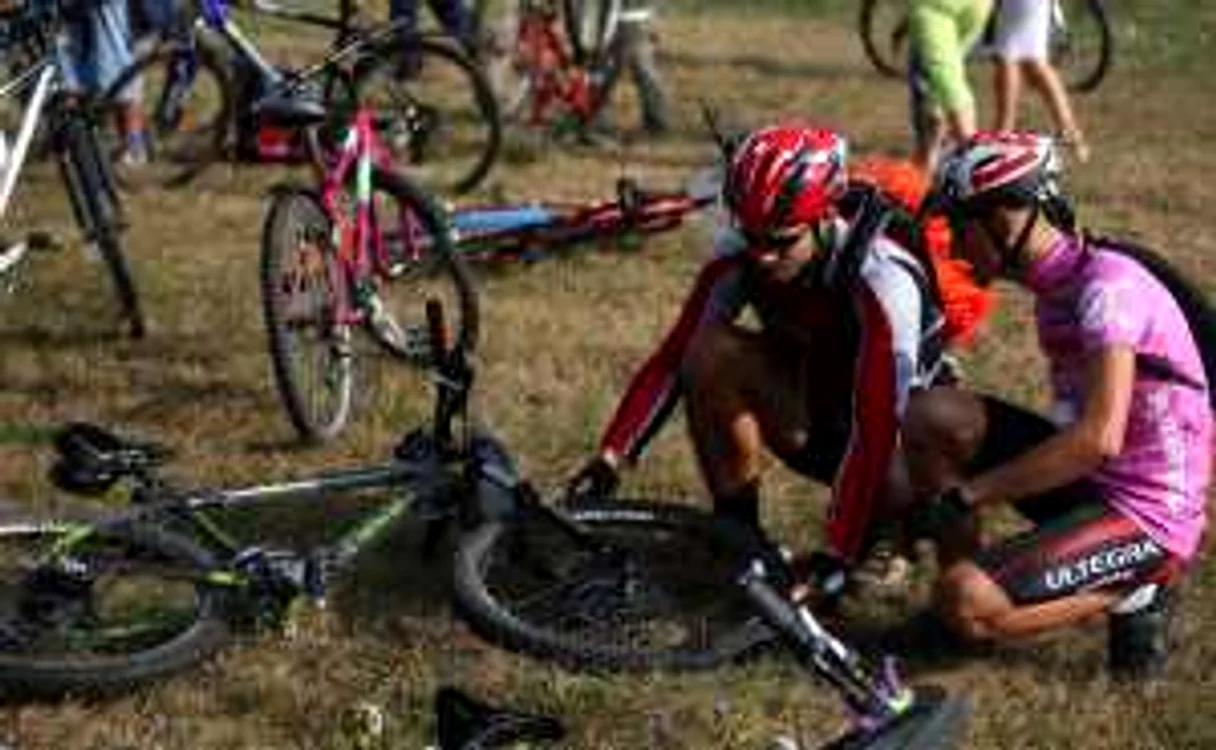 bicicelte