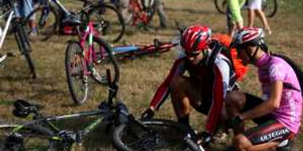 bicicelte