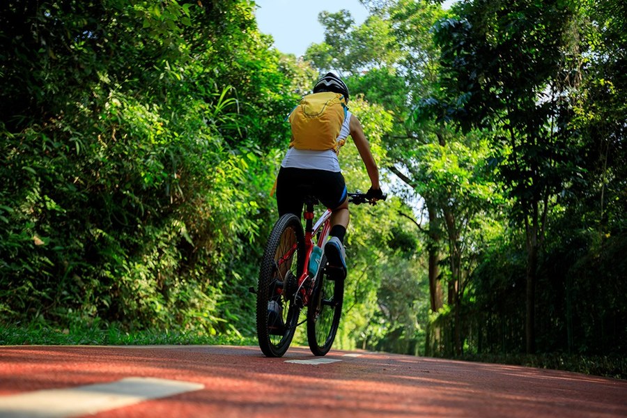 Județul care va avea o pistă spectaculoasă pentru bicicliști, între un lac și o pădure: 25 de km de traseu în natură