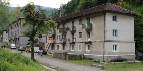 baita plai foto daniel guta adevarul