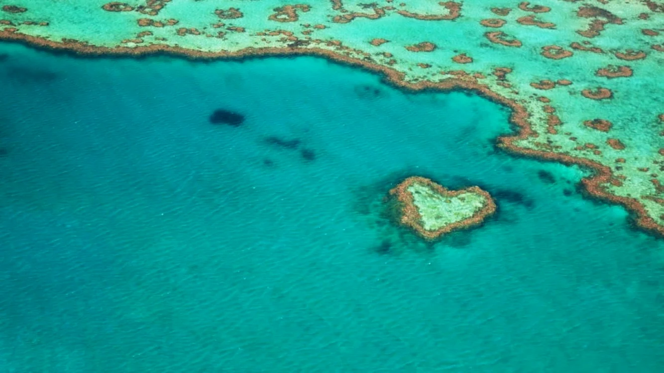 Vedere aeriană a Recifului în formă de inimă - „Heart Reef”. FOTO: KOKKAI/ISTOCK VIA GETTY IMAGES PLUS / Mentalfloss.com