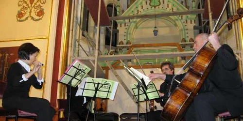 Profesorii vor concerta la Sinagogă 