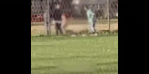 bataie gif gif