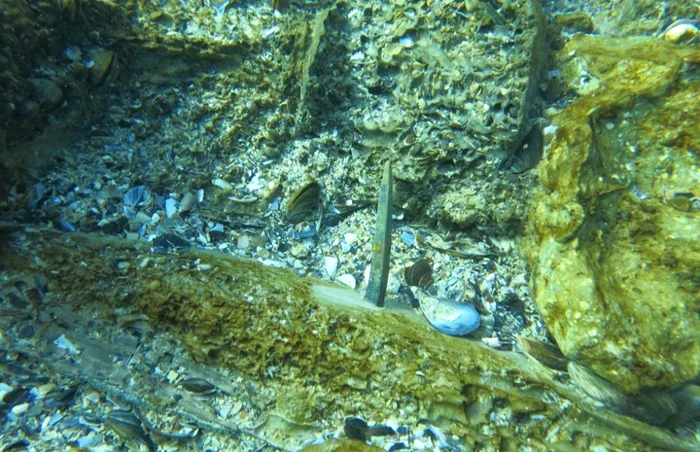 Cercetătorii de la Constanţa fac scufundări în Marea Neagră pentru descoperirea vestigiilor Foto Geo Eco Mar 