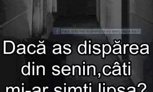 mihai stoia, alba iulia jpeg