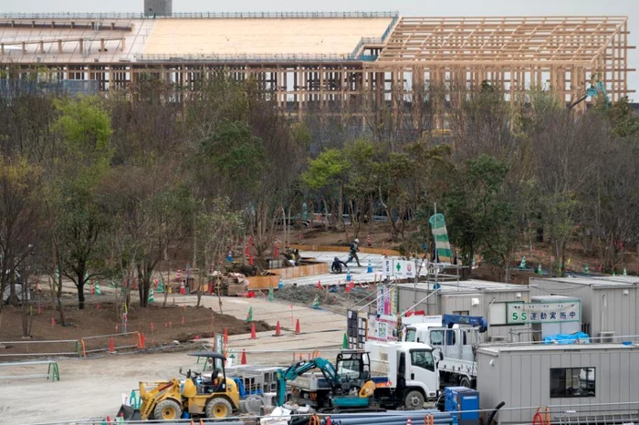 Acoperișul din lemn.