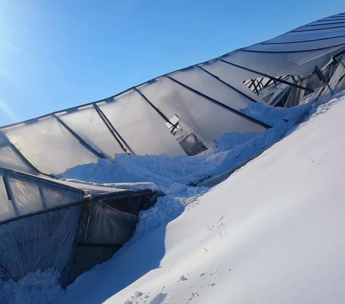 Solarii distruse de zăpadă la Glodeanu Sărat. Sursa FOTO: Claudiu Breazu