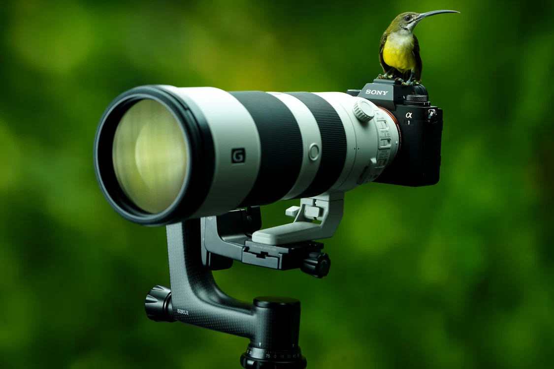 Teleobiectiv Sony. FOTO Shutterstock