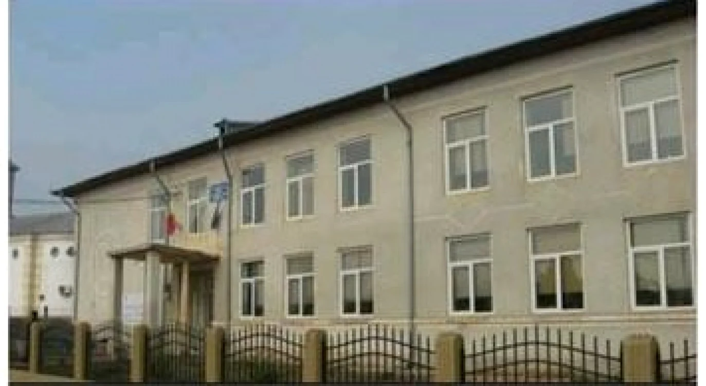 vădăstriţa scoala