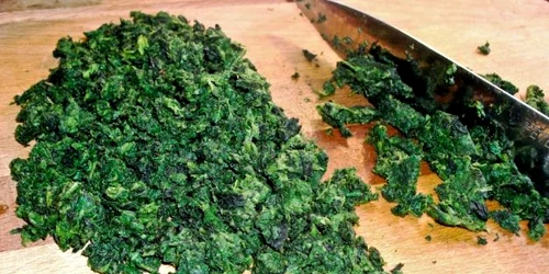 Mâncare de urzici FOTO O craita in bucatarie