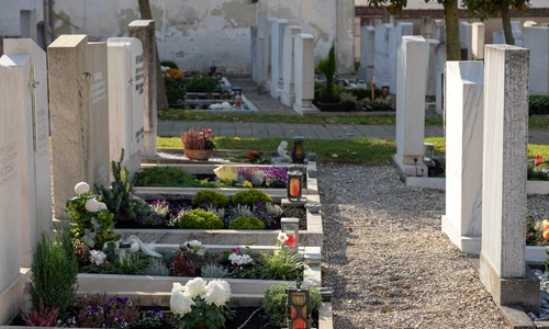 cimitir norbert staudt f8 yvptmsda unsplash 0 jpeg