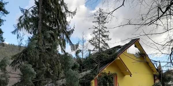 Pensiune distrusă de doi brazi smulşi din rădăcini de rafalele de vânt în Căciulata Foto ISU Vâlcea