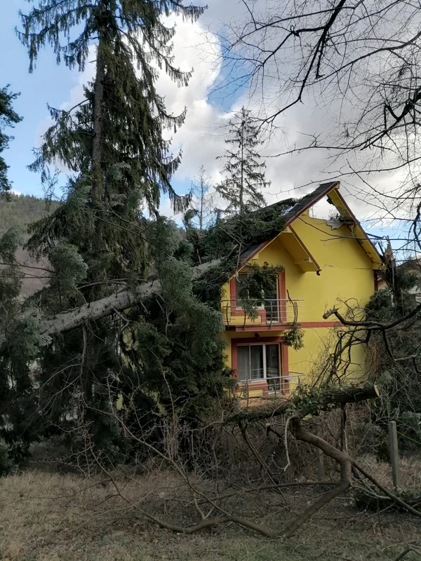 Pensiune distrusă de doi brazi smulşi din rădăcini de rafalele de vânt în Căciulata Foto ISU Vâlcea