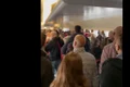 cozi otopeni jpg