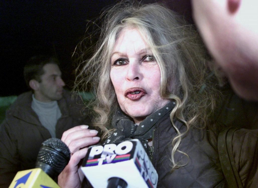 Brigitte Bardot este celebră pentru declaraţiile controversate FOTO Guliver/Getty Images