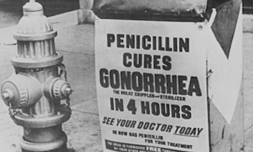28 septembrie: Alexander Fleming a descoperit penicilina jpeg