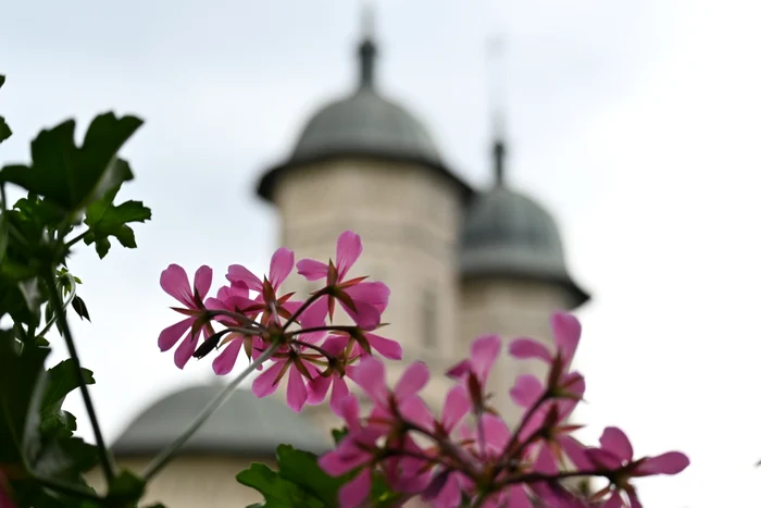 Mănăstirea Cetățuia din Iași FOTO Cristian Hitruc