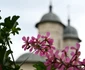 Mănăstirea Cetățuia Iași