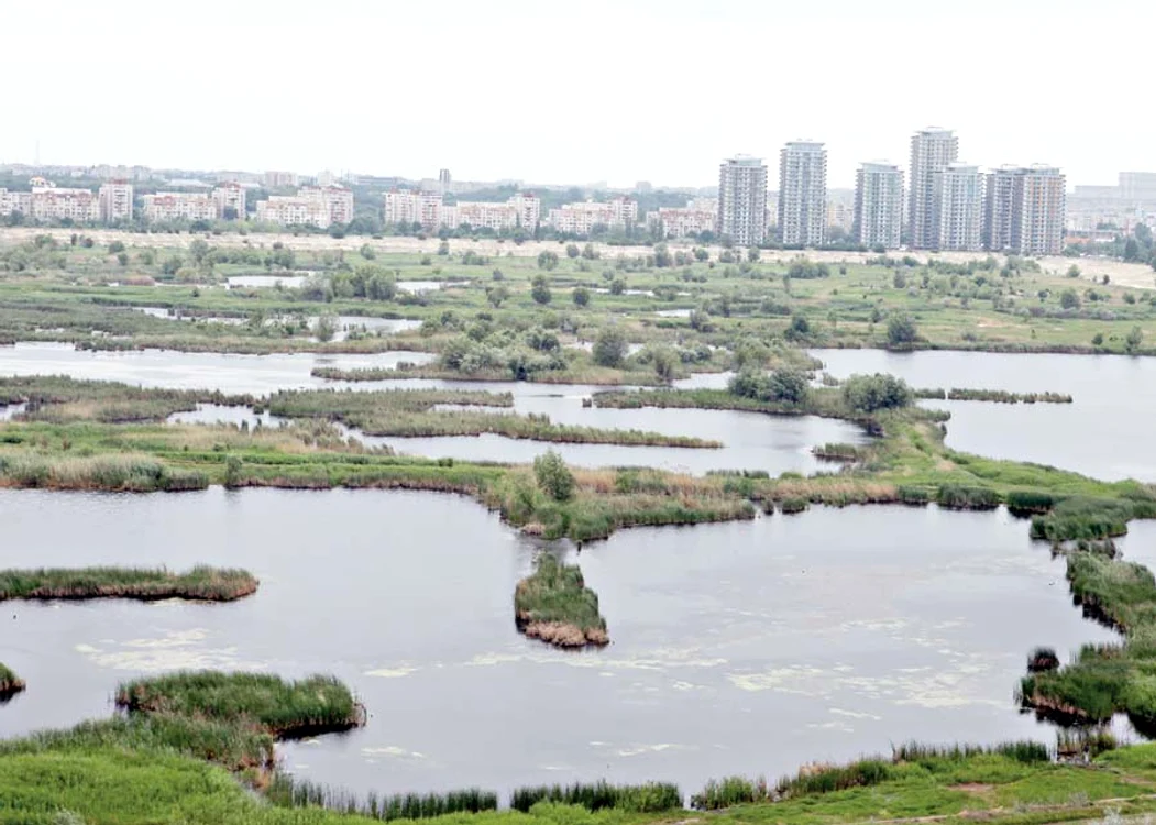 
    Specialiştii vor ca groapa  de 190 de hectare să fie  declarată rezervaţie naturală (fotografii: Florin Şuler)  