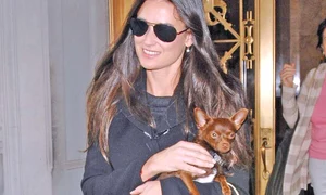 15 foto1 3col 230 spl6069 001 jpeg