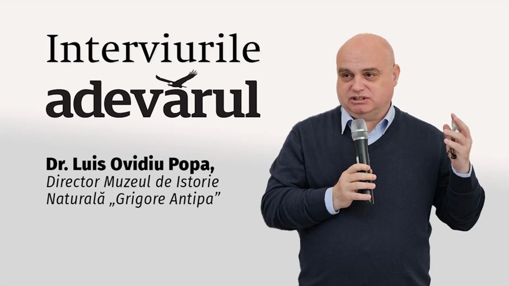 Cum să îți petrecei o vacanță la Muzeul Antipa, spațiul cool, chiar și pe caniculă, povestește Dr. Luis Ovidiu Popa,  Directorul muzeului de istorie naturală
